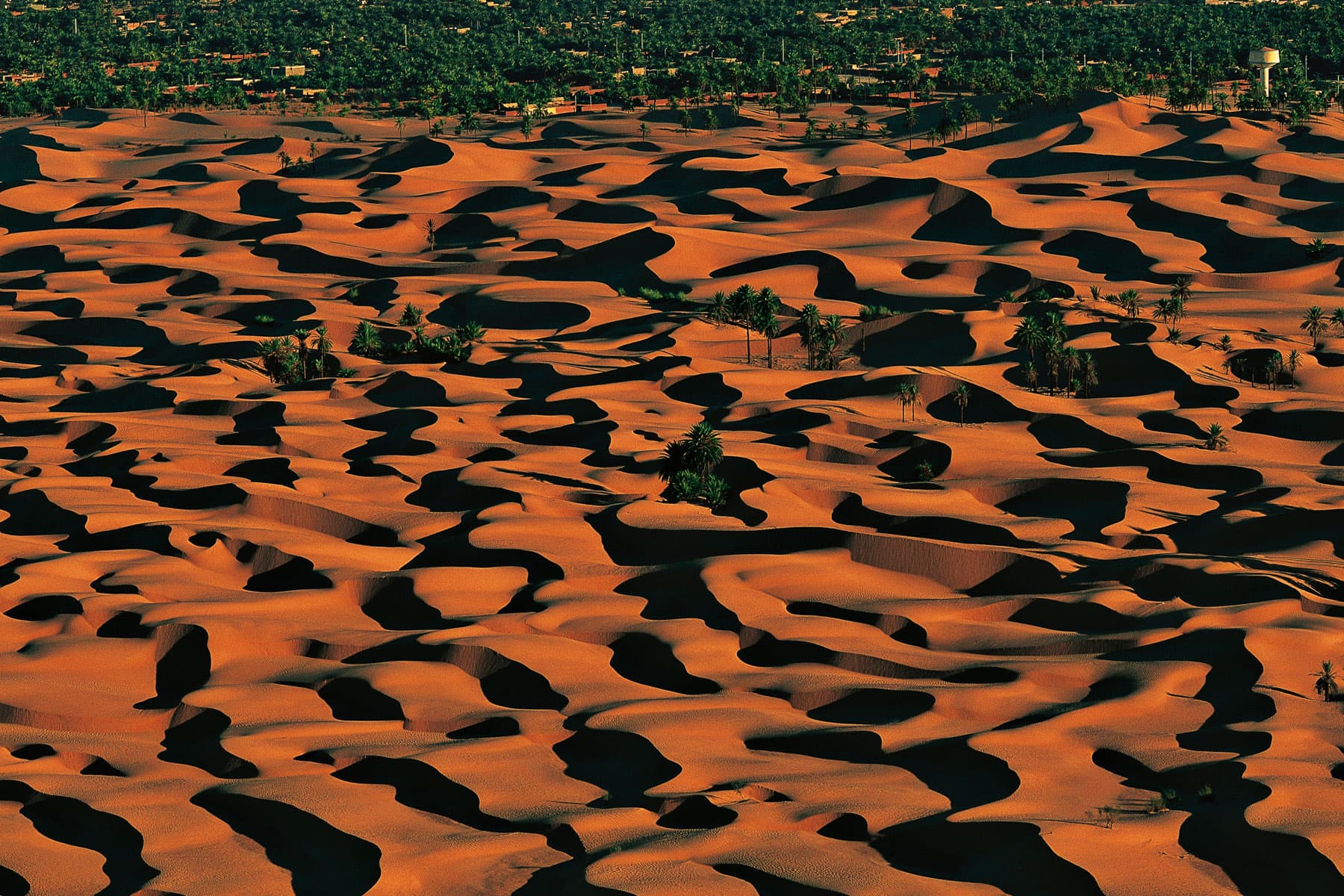 El Menéa, la Perle du Sahara